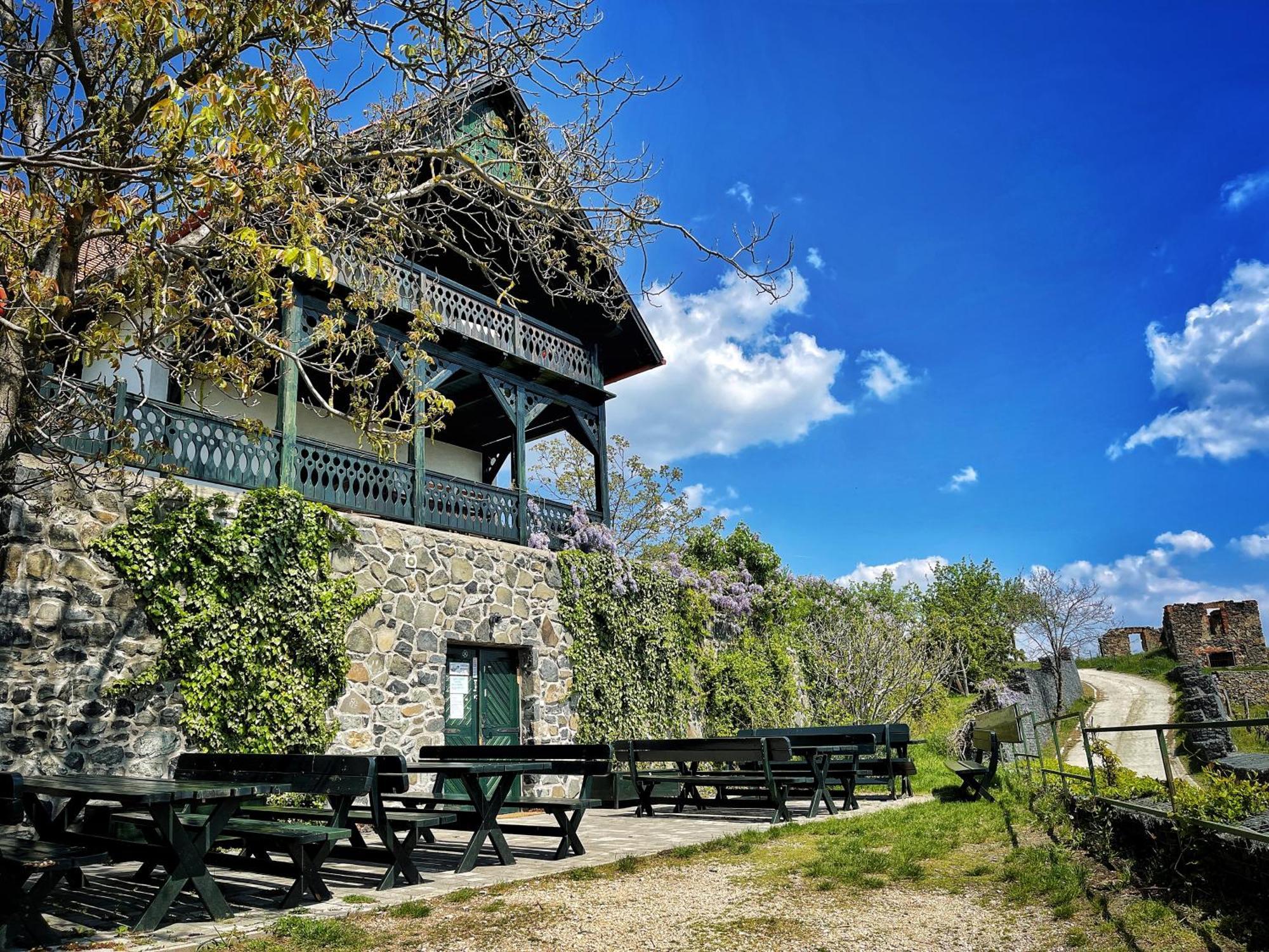 Somlo Wineshop Guesthouse Somlovasarhely Экстерьер фото