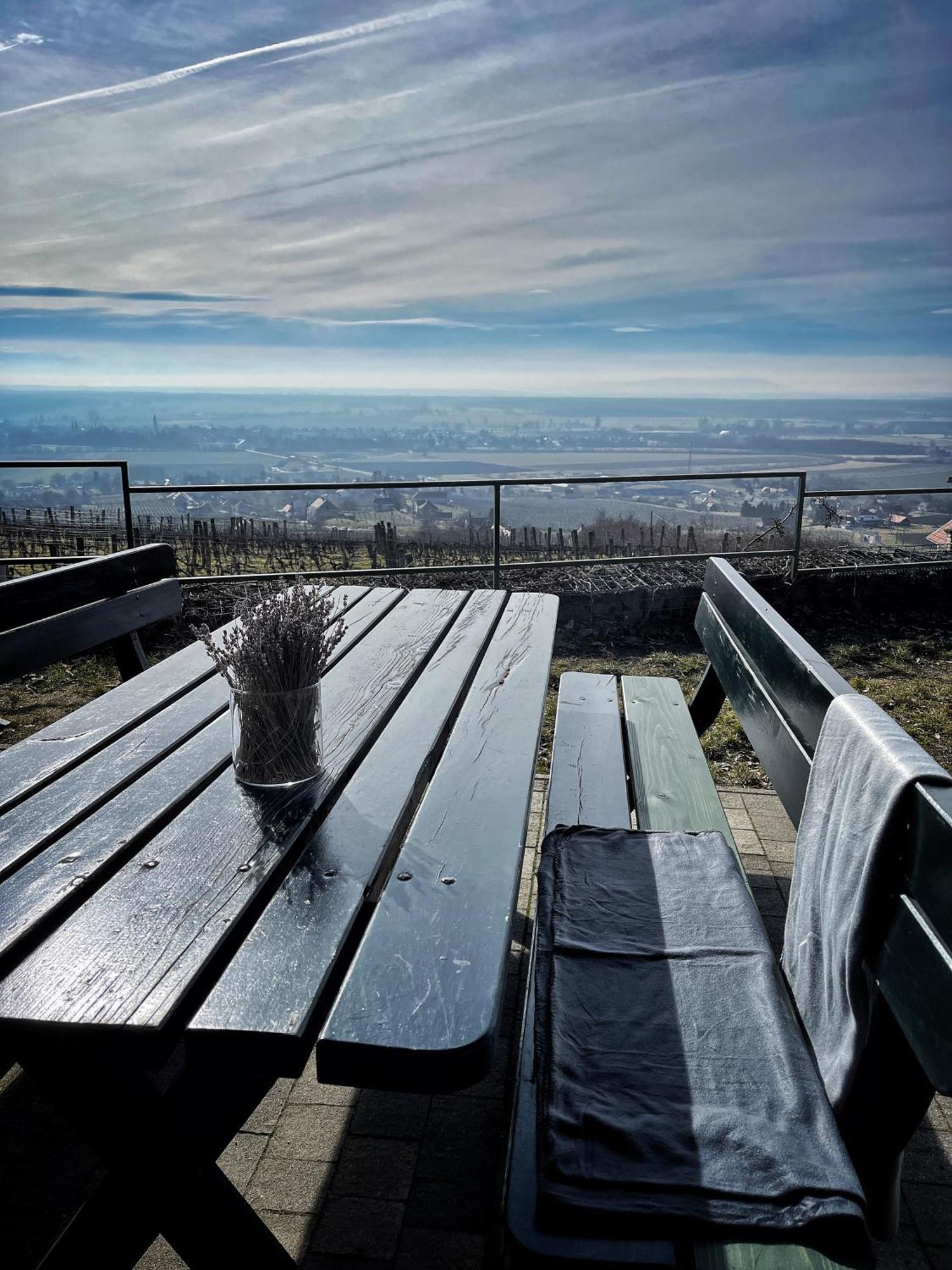 Somlo Wineshop Guesthouse Somlovasarhely Экстерьер фото