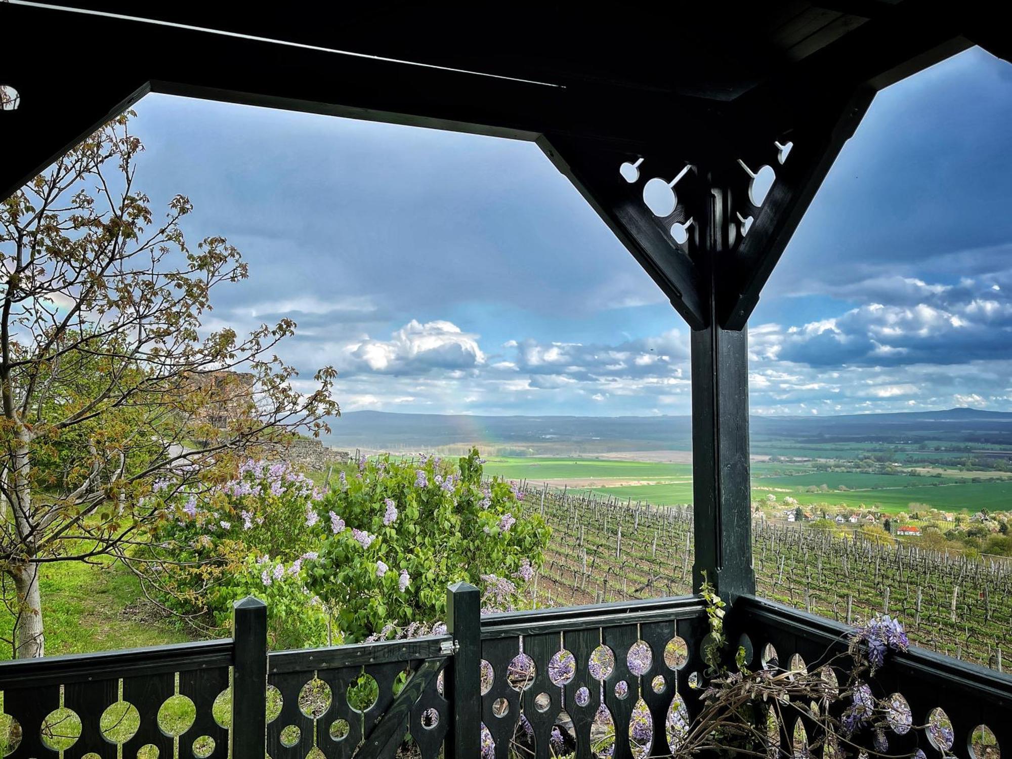 Somlo Wineshop Guesthouse Somlovasarhely Экстерьер фото