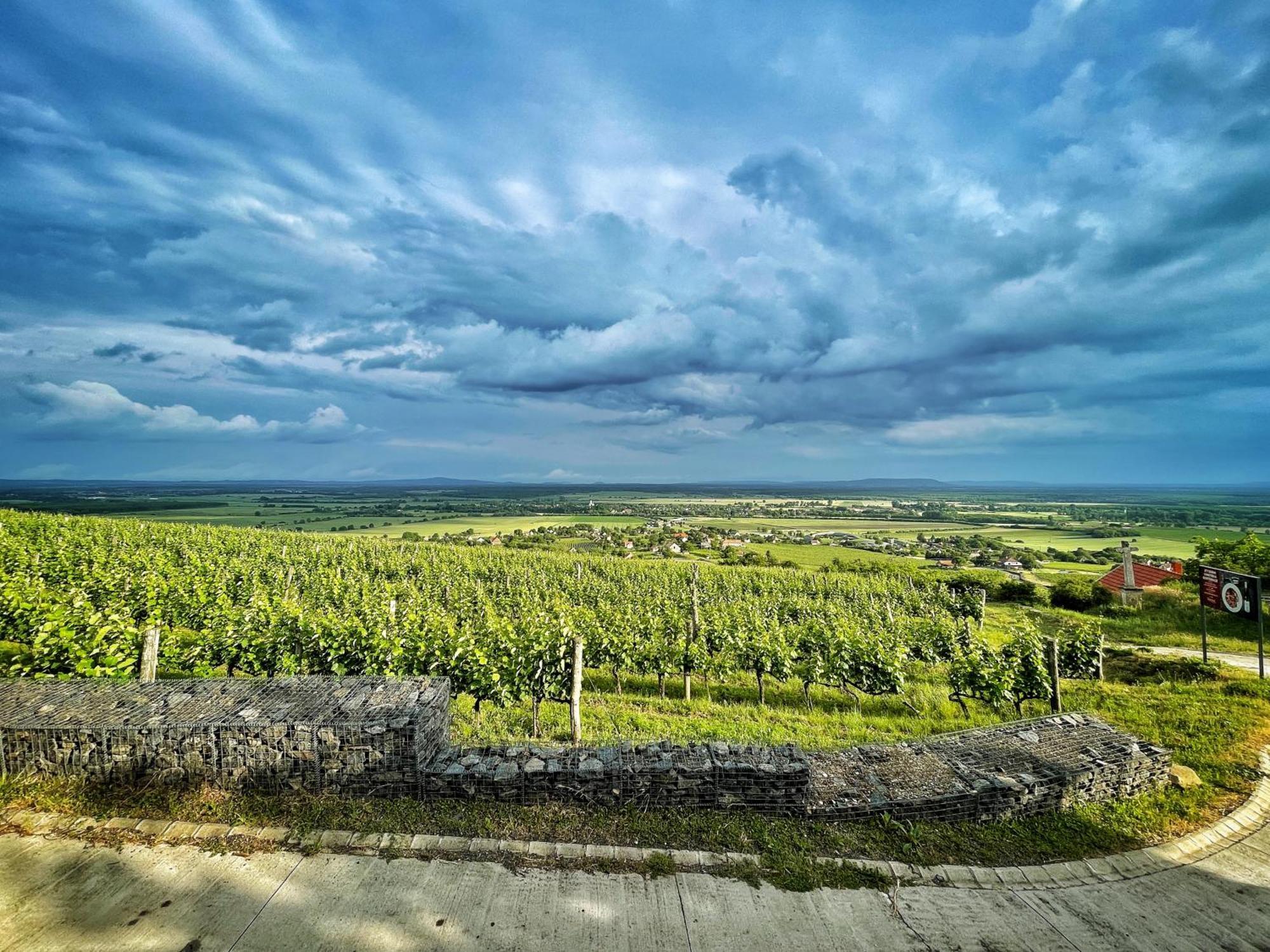 Somlo Wineshop Guesthouse Somlovasarhely Экстерьер фото