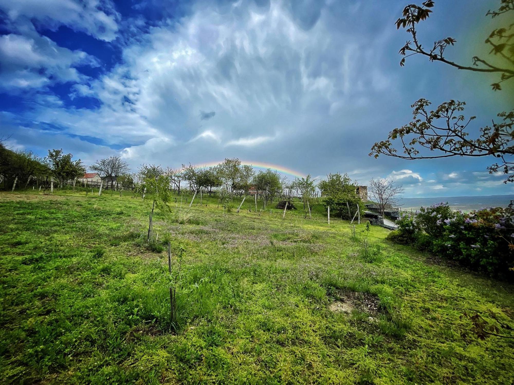 Somlo Wineshop Guesthouse Somlovasarhely Экстерьер фото