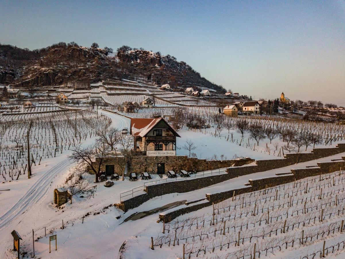 Somlo Wineshop Guesthouse Somlovasarhely Экстерьер фото